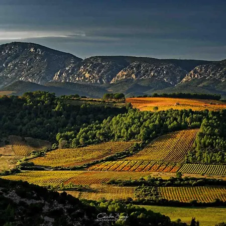 Le Soleil Bleu Wifi Clim * Le Barcarès