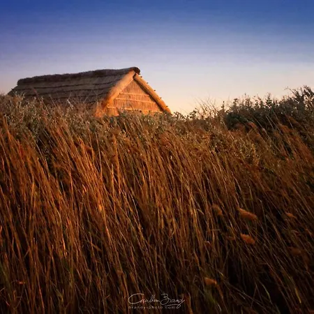 Feriehus Le Soleil Bleu Wifi Clim *